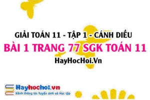 Giải bài 1 trang 77 Toán 11 tập 1 SGK Cánh Diều